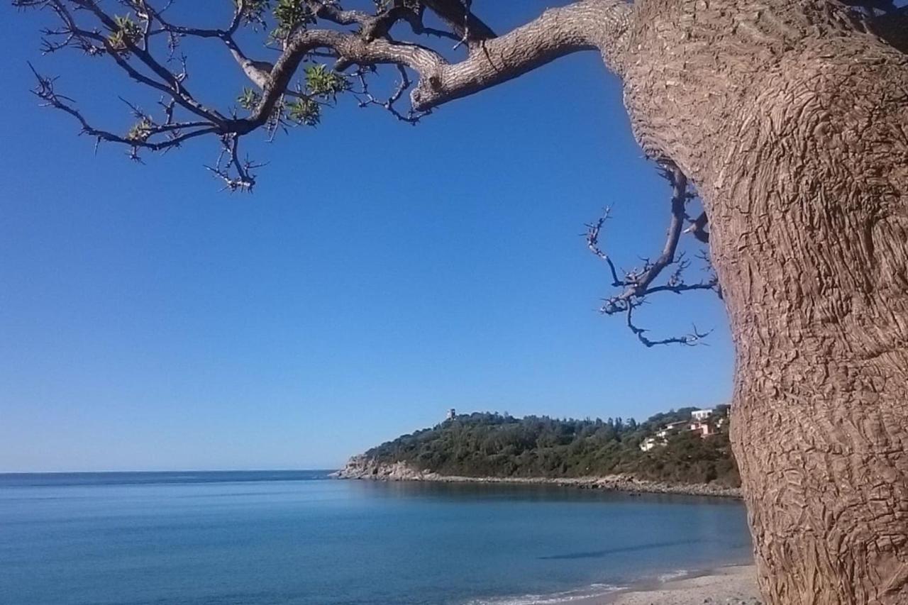 Апартаменты Un Po Di Relax A Pochi Passi Dal Mare! Арбатакс Экстерьер фото